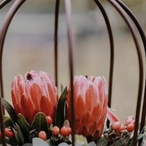 Protea arrangement for wedding Without Cage