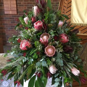 Protea Upright