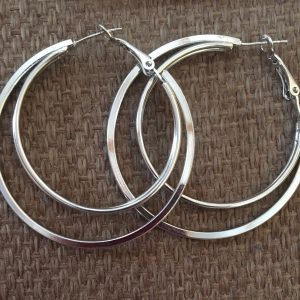Stainless steel double hoop earrings